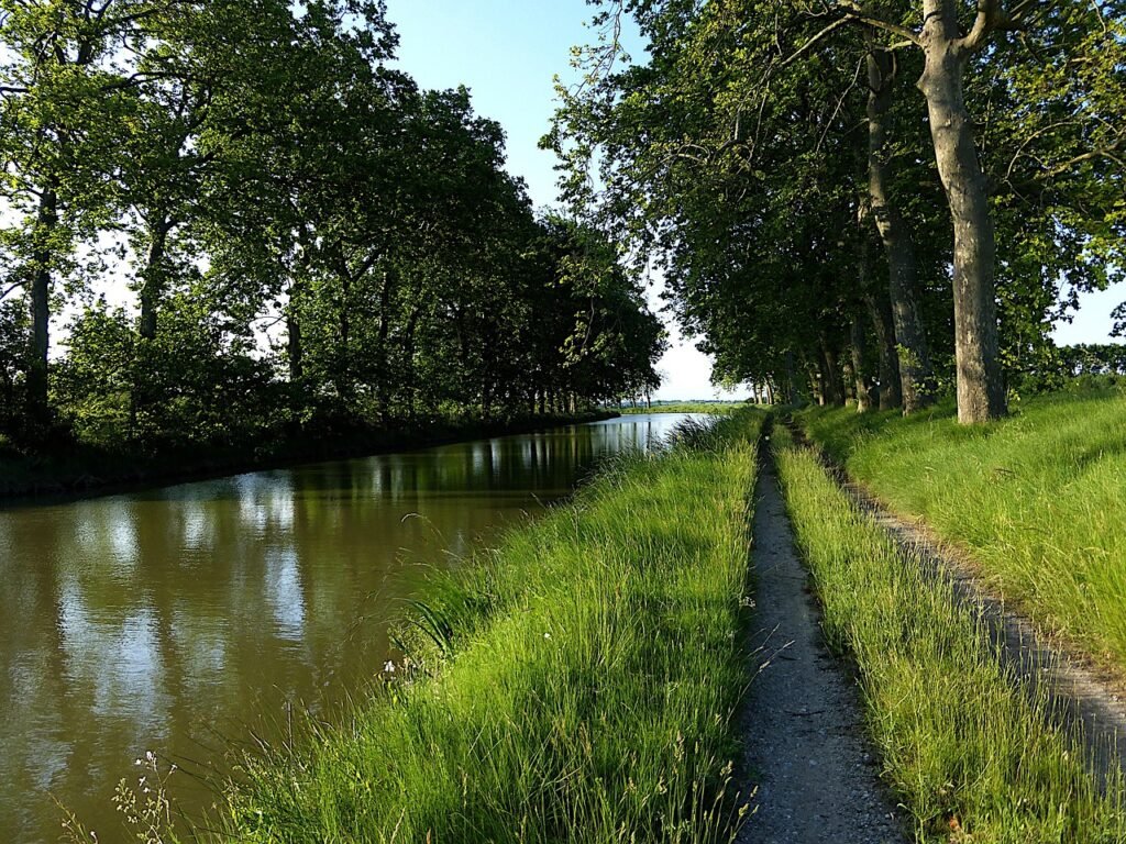 nature, canal du midi, trees, herbs, water, historical, architecture, landscape, france, south