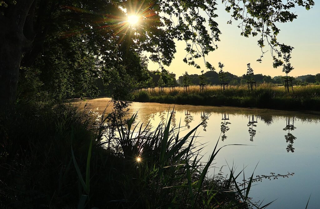 sunrise, morning, canal du midi, france, south, languedoc, mist, calmed down, sun, calm, scenic, nature, calm, calm, calm, calm, calm
